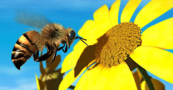 fast english editing service